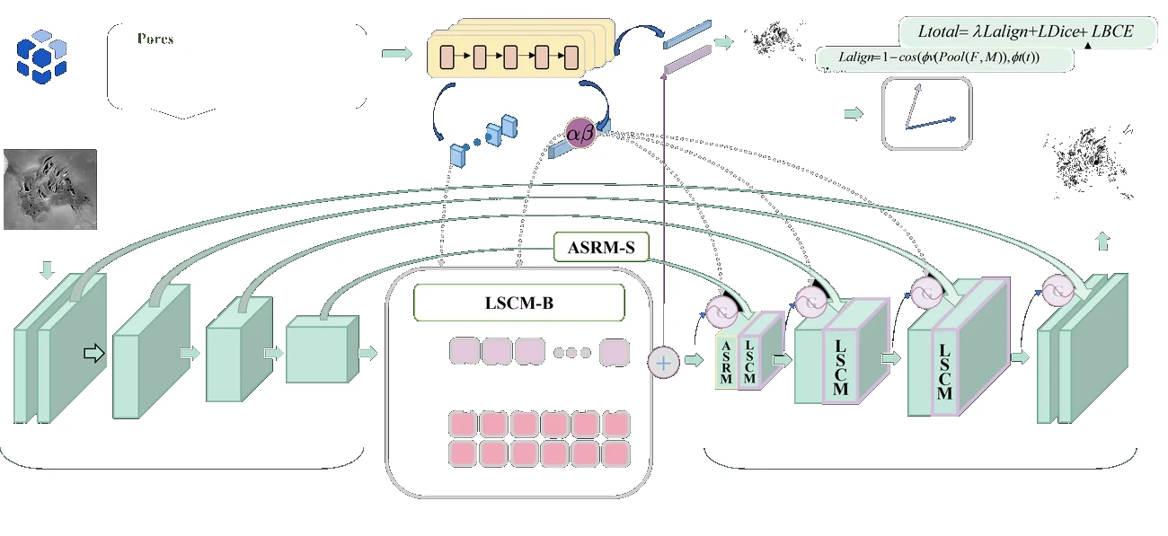 VLSE-Net 结构概览
